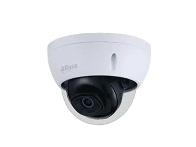 Dahua IP Cameras